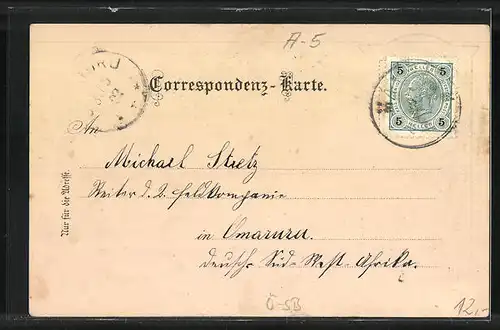 Lithographie Salzburg, Elektrischer Aufzug, Wappen, Gesamtansicht