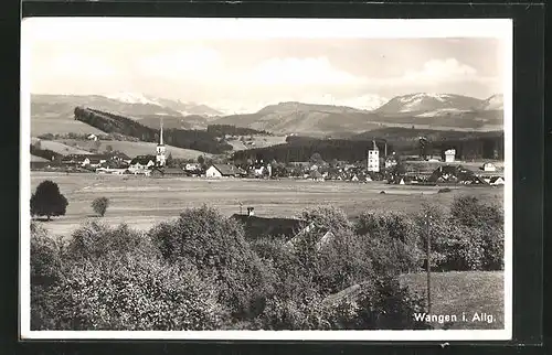 AK Wangen i. Allg., Panorama vom Ort