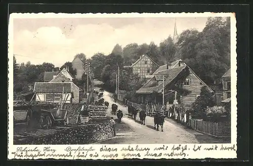 AK Schierke i. Harz, Blick in die Dorfstrasse mit Kühen