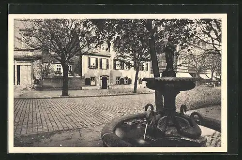 AK Weimar, Blick auf das Schillerhaus und Brunnen