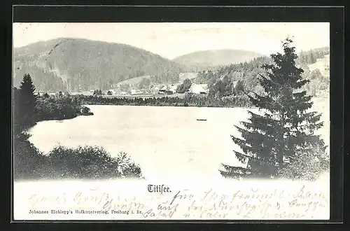 AK Titisee, Blick über den See