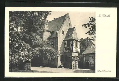 AK Eltville, Ortspartie mit Gebäudeansicht