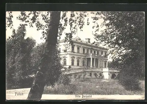 AK Falun, Villa Bergalid
