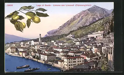 AK Limone, Panorama con Limoneti, Zitronengärtchen