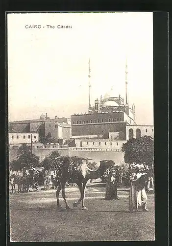 AK Kairo, The Citadel, Kamel
