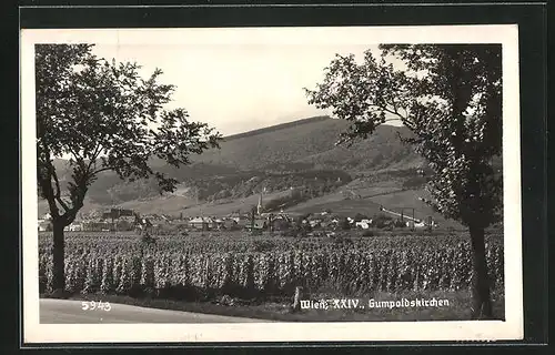 AK Gumpoldskirchen, Panorama mit Umgebung