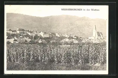AK Weissenkirchen i. d. Wachau, Totalansicht mit Bergpanorama