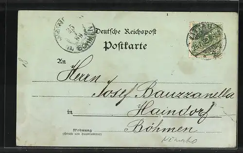Mondschein-AK Zittau, Gesamtansicht