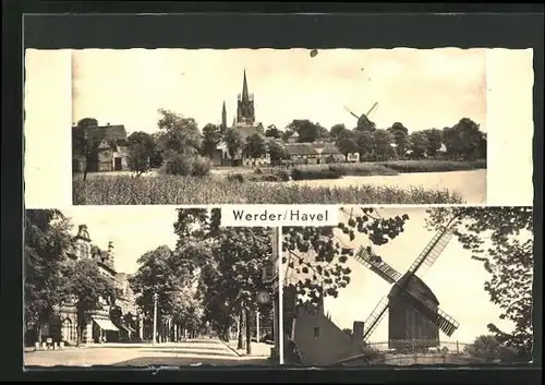 AK Werder / Havel, Panorama und Windmühle