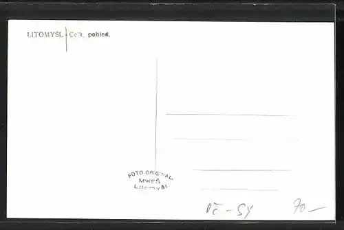 AK Leitomischl / Litomysl, Celkový pohled