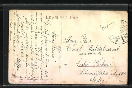 AK Pecs, Schlauch-villatelep