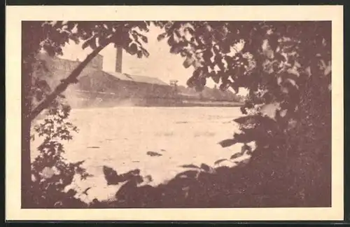 AK Narwa, Partie am Flussufer mit Blick zur Fabrik