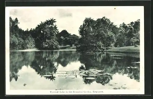 AK Singapore, Tyersall Lake in the Botanical Garden