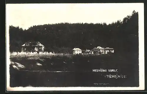 AK Hedvicino Udoli, Panorama