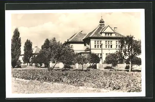 AK Nasavrky, Vcelarská skola