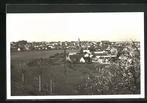 AK Mährisch Budwitz, Panorama