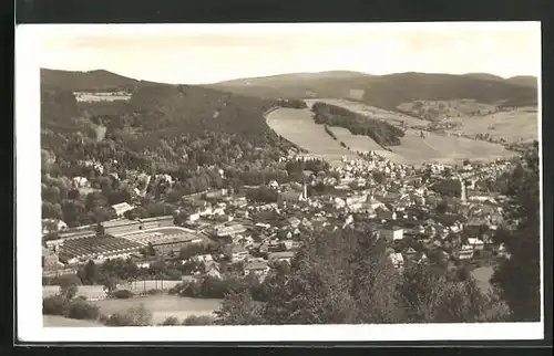 AK Jesenik, Panorama