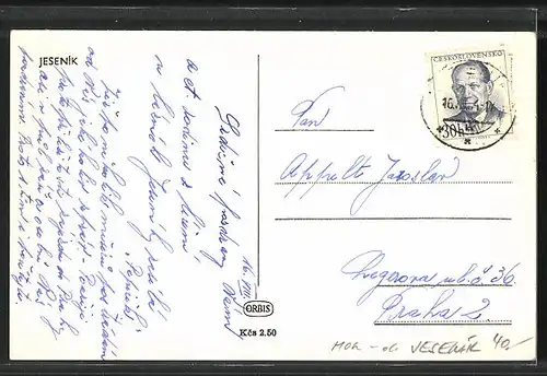 AK Jesenik, Gesamtansicht