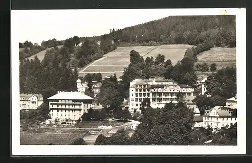 AK Lazne Jesenik, Teilansicht der Ortschaft