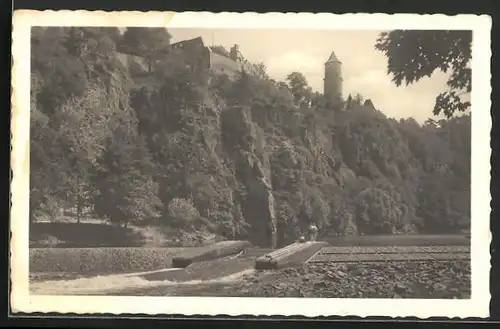 AK Hrad Zvikov, Hrad