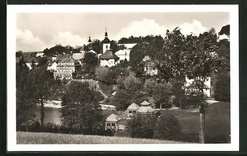 AK Rokitnitz / Rokytnice v Orlickych Horach, Celkový pohled