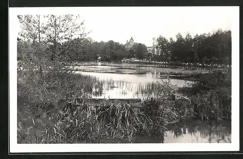 AK Vysoké Veseli, Idylle am Teich