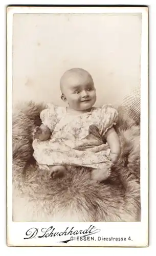 Fotografie D. Schuchhardt, Giessen, Diezstrasse 4, Portrait süsses Kleinkind im Kleid