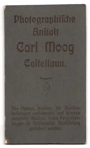 Fotografie Carl Moog, Castellaun, Portrait junge Dame im gestreiften Kleid mit einem Buch