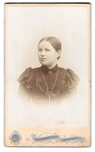 Fotografie A. Jandorf & Co., Berlin, Belle-Alliance-Strasse 1, Portrait junge Dame im bestickten Kleid
