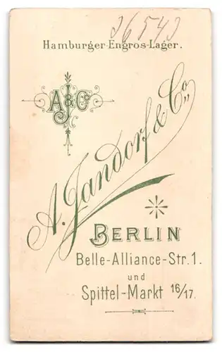 Fotografie A. Jandorf & Co., Berlin, Belle-Alliance-Strasse 1, Portrait junge Dame im bestickten Kleid