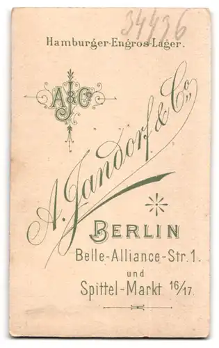 Fotografie A. Jandorf & Co., Berlin, Belle-Alliance-Strasse 1, Portrait junge Dame im bestickten Kleid