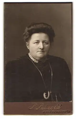 Fotografie Paul Petzold, Brandenburg a /H., Steinstrasse 52, Portrait bürgerliche Dame mit hochgestecktem Haar