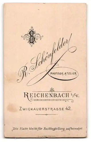 Fotografie R. Schönfelder, Reichenbach i. V., Zwickauerstr. 42, Portrait Dame im Biedermeierkleid mit Brosche