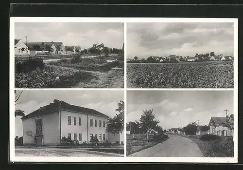 AK Veltruby, Schule, Strassenpartie mit Gebäudeansicht, Ortspartie