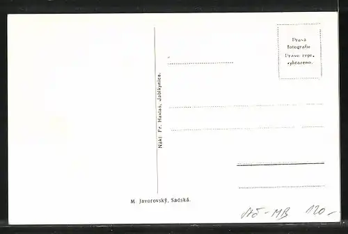 AK Jablkynice, Partie am Ententeich