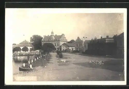 AK Katusice, Radnice, Enten /Gänse auf dem Markt