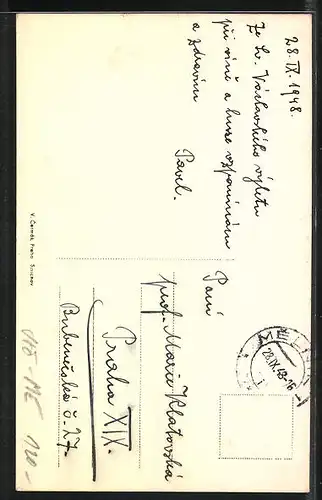 AK Melnik, Namesti, Kostel, Stadttor, Elbpartie