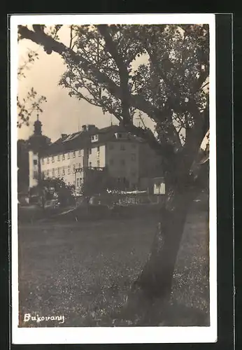 AK Bukovany, Herrschaftliches Gebäude von Wiese aus gesehen