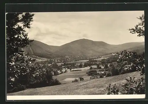 AK Bily Potok /Jizerske Hory, Celkovy pohled