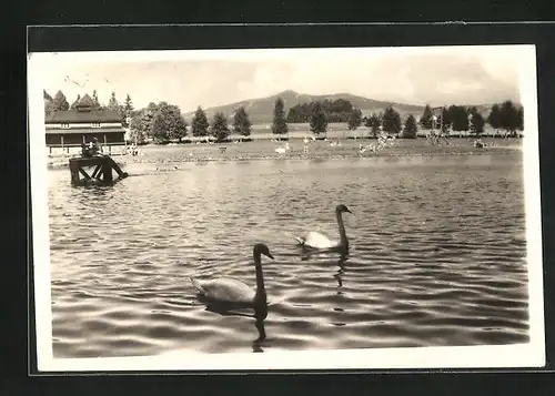 AK Lazne Kundratice pod Jestedem, Panorama