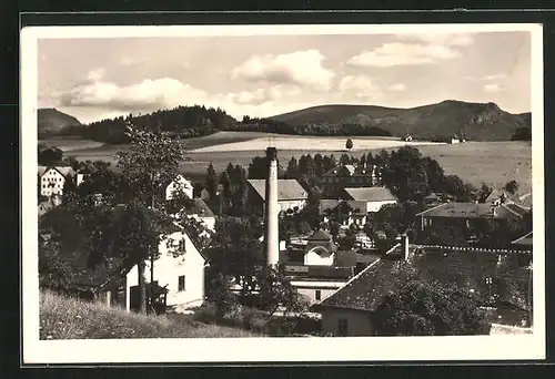 AK Bad Liebwerda / Lazne Libverda, Panorama