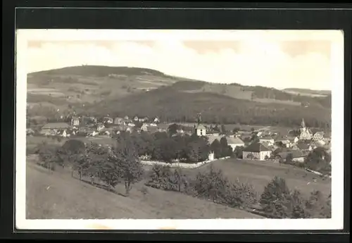 AK Hodkovice, Panorama
