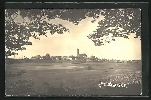 Foto-AK Steinhausen, Totalansicht, Zwiebelturm