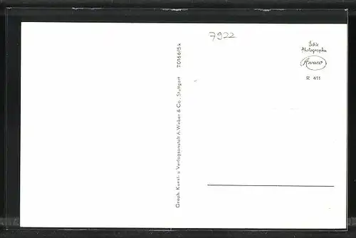 AK Herbrechtingen a. Brenz, Teilansicht