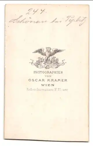 Fotografie Oscar Kramer, Wien, Rothenthurmgasse 23, Ansicht Schönau, Blick in den Ort mit Hotel Neptun