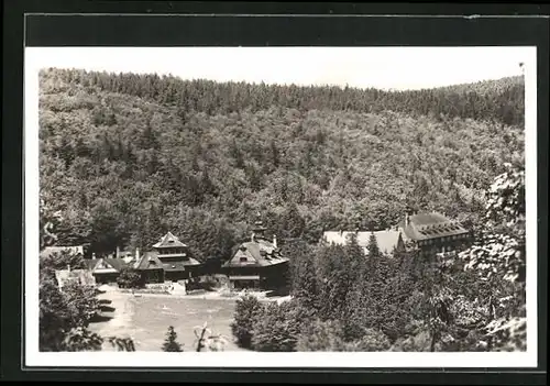 AK Radhoscht /Radhost, Celkovy pohled, Teilansicht der Gemeinde im Wald