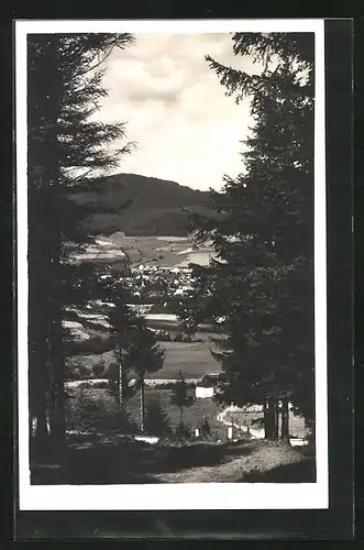 AK Schüttenhofen im Böhmerwald, Blick auf die Sommerfrische