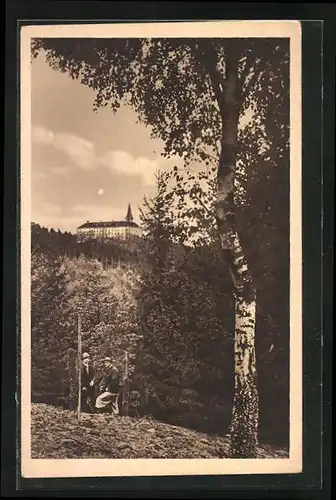 AK Nepomuk, Blick zum Schloss Zelená Hora