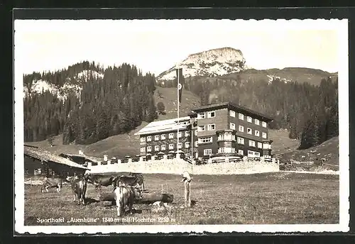 AK Hirschegg, Hotel, Auenhütte`