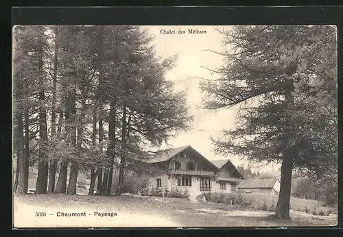 AK Chaumont, Chalet des Mélèzes